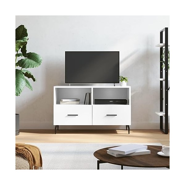 RAUGAJ Centres de divertissement et meuble TV - Meuble TV blanc brillant - 80 x 36 x 50 cm - Bois dingénierie