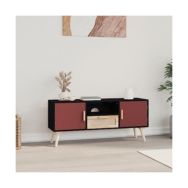 GANDUS Meuble TV avec portes 105 x 30 x 45 cm en bois dingénierie