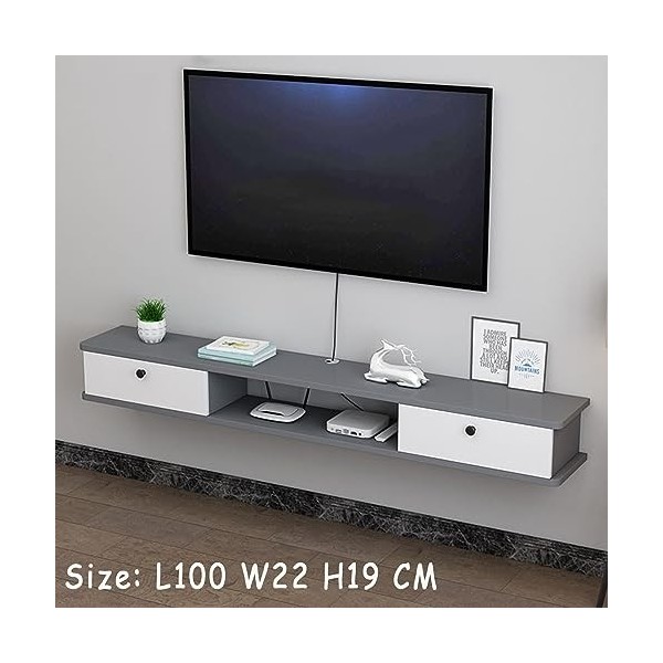 WhYaTT Armoire de rangement multimédia, protège et organise les collections de musique, de films et de jeux vidéo, sous la té