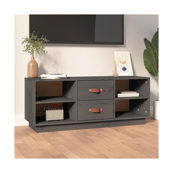 CHRISK Home Hardware Businese Meuble TV en pin massif Gris 100 x 34 x 40 cm