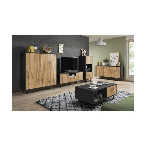 PRICE FACTORY just for you Meuble TV Industriel SPEBO, 140 cm, 2 Portes et 1 tiroir, Coloris Noir Mat et chêne wotan.