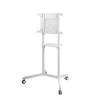 KIMEX - Support TV - à roulettes - pour écran 37"-70" - Compatible Samsung Flip® et Microsoft Surface Hub® 2s - Blanc - 030-3