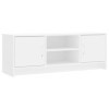 Camerina Meuble TV Blanc 102x30x37,5 cm Bois dingénierie,Meuble TV,Table Basse Couleurs,Table Basse Salon Meuble TV