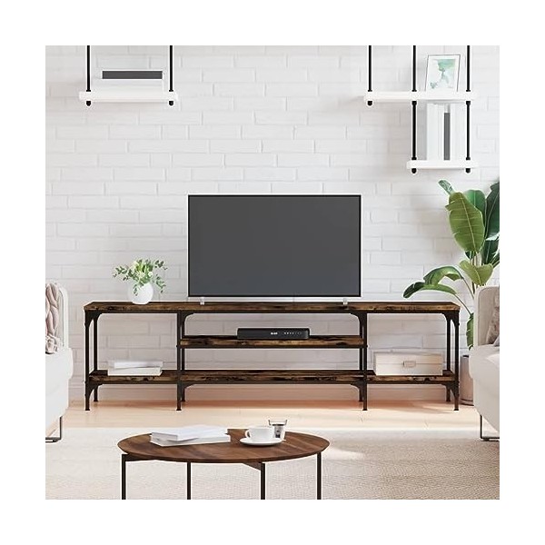 vidaXL Meuble TV chêne fumé 161x35x45 cm Bois dingénierie et Fer