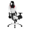 AKRacing Masters Série Premium Siège Gaming, Acier allié, Arctica, Taille Unique