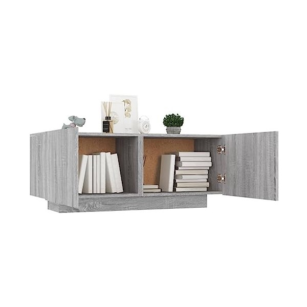 FIRBNUS Meuble TV Design Tendance Sonoma Gris 100x35x40 cm Bois dingénierie Armoire Média Salon Amplement d’Espace pour Gard