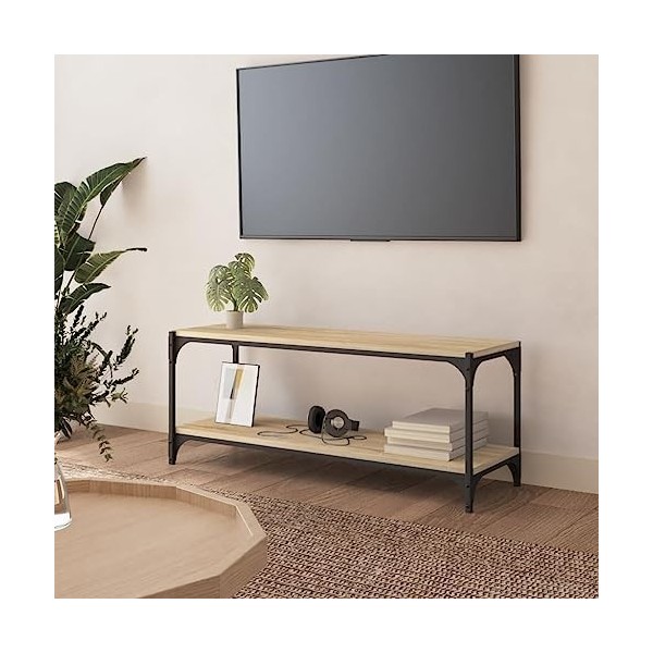 Hovothy Meuble TV Chêne Sonoma 100x33x41 cm Bois dingénierie et Acier Style Industriel Armoire de Chambre Décoration Intérie