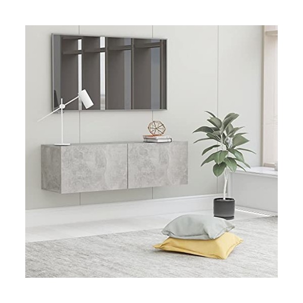 Meuble TV avec 2 Portes | Style Scandinave | Rangement matériel télé Audio Video Gaming | 100x30x30cm Gris béton