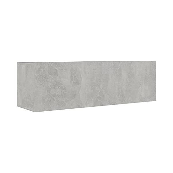 Meuble TV avec 2 Portes | Style Scandinave | Rangement matériel télé Audio Video Gaming | 100x30x30cm Gris béton