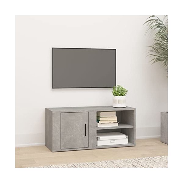 Higsose Meuble TV Salon Gris Béton 80x31,5x36 cm Bois dingénierie Design Tendance Armoire Multimédia Grand Espace de Rangeme