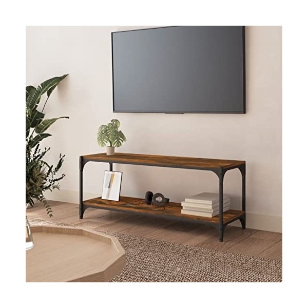 Tidyard Meuble TV Style Industriel Meuble TV de Salon 2 étagères Bois dingénierie et Acier Chêne Sonoma 100x33x41 cm