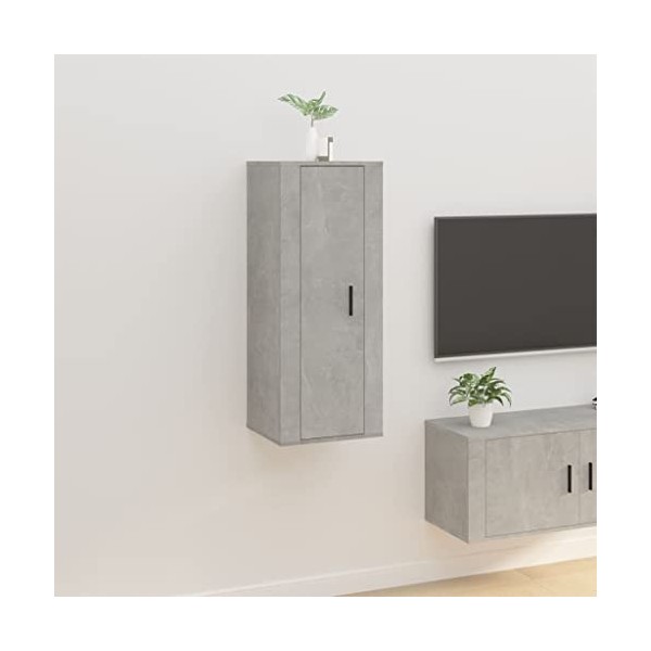 VEEKI Meuble TV, Meuble TV Suspendu, Meuble, Meuble TV avec Rangement，Meuble Industriel, Convient pour Salon ou Chambre, Mura