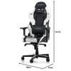 DXRacer loriginal Gladiator G001 Chaise Gaming, Simili Cuir, Noir-Blanc, Jusquà 2 m