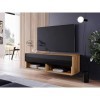 MINIO go for it - Armoire TV Lowboard Anne I 100x30x33 cm I avec Portes et Niches Ouvertes I Panneau de Particules Stratifié 