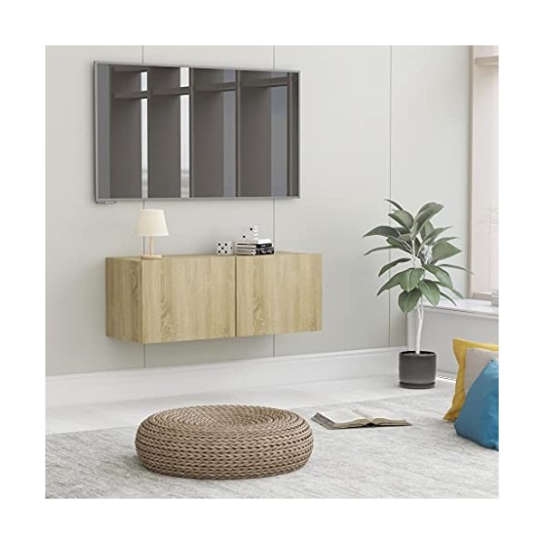 Meuble TV avec 2 Portes | Style Scandinave | Meuble Hi-FI Armoire télé Salon séjour | 80x30x30cm chêne Sonoma