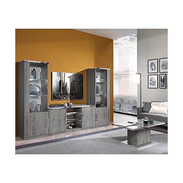 AltoBuy NAKTAM - Meuble TV 2 Portes Aspect Chêne Gris Laqué