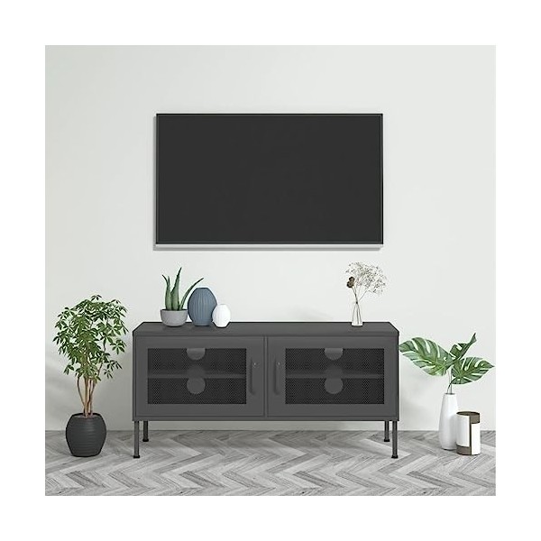 RAUGAJ Home Hardware Businese Meuble TV en acier Anthracite 105 x 35 x 50 cm