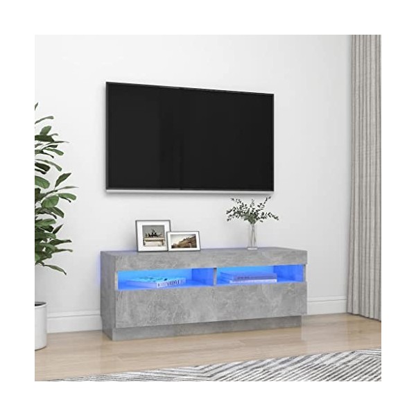vidaXL Meuble TV avec Lumières LED Armoire Basse Centre de Divertissement Meuble Stéréo Salon Salle de Séjour Intérieur Gris 