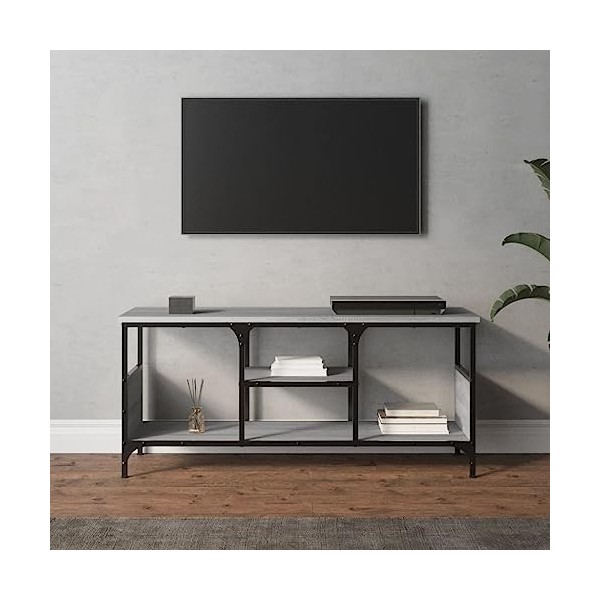 ZEYUAN Meuble TV Sonoma Gris 100x35x45 cm Bois dingénierie et Fer,Meuble TV Longueur,Meubles De Salon TV,Meuble Bas Salon
