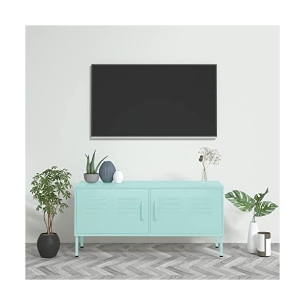 SHAPLE Meuble TV Menthe 105x35x50 cm Meuble en acier