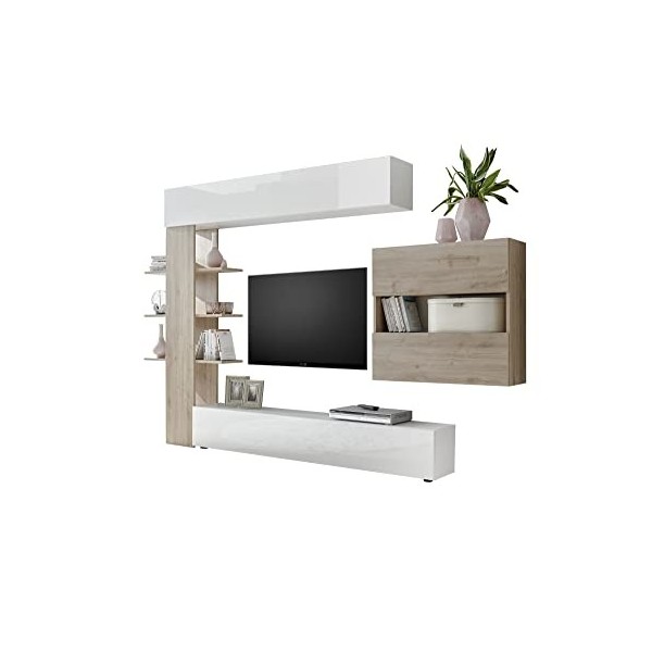 Dmora Paroi équipée pour séjour réversible, Made in Italy, Meuble TV Set Salon Moderne, 295 x 30 h 197 cm, Couleur Blanc Bril