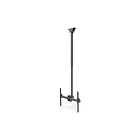 DIS Acc Digitus Universal TV Ceiling Mount 37-70