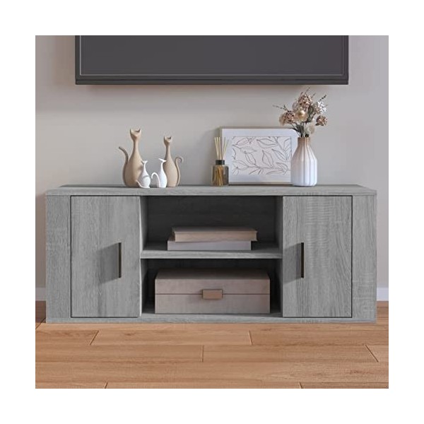Lechnical Meuble TV, meuble TV, meuble TV salon, meuble TV gris Sonoma 100 x 35 x 40 cm en bois multicouche k
