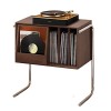 Présentoir de rangement pratique pour tourne-disque, meuble de rangement pour disques vinyles avec 2 pieds en acier inoxydabl