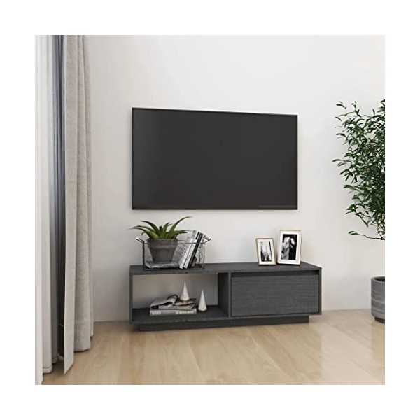 homiuse Meuble TV Gris 110x30x33,5 cm Bois de Pin Massif Armoire HiFi Décoration Intérieure Meuble de Télévision Table Salon 
