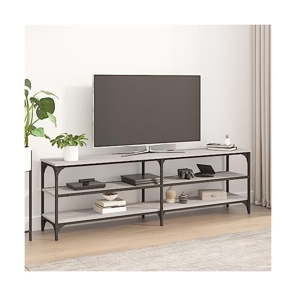 FAMIROSA Meuble TV Sonoma Gris 160x30x50 cm Bois dingénierie 19.6KG 