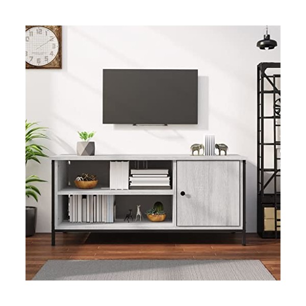 Hovothy Meuble TV Style Élégant Sonoma Gris 100x40x45 cm Bois dingénierie Chambre Meuble de Multimédia avec Pieds en Métal M