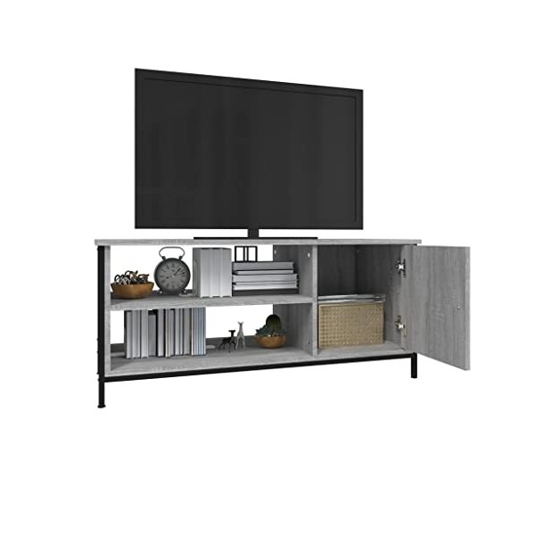 Hovothy Meuble TV Style Élégant Sonoma Gris 100x40x45 cm Bois dingénierie Chambre Meuble de Multimédia avec Pieds en Métal M