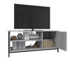 Hovothy Meuble TV Style Élégant Sonoma Gris 100x40x45 cm Bois dingénierie Chambre Meuble de Multimédia avec Pieds en Métal M