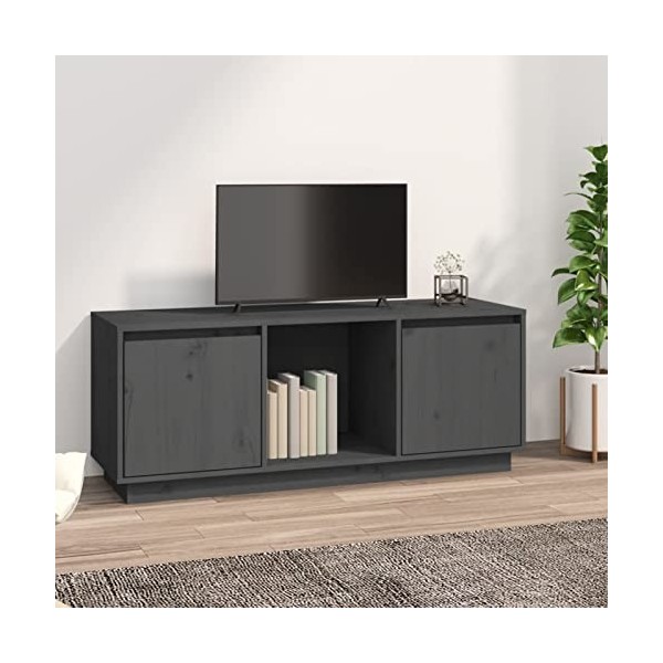 Meuble TV avec 2 Grands Compartiments, Meuble TV en Bois Massif, Meuble TV Moderne pour Salon, Meuble TV, Blanc 74x35x44 cm 