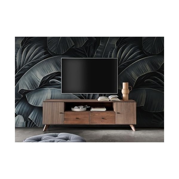 RTV II WZ-0624 hêtre tabac à priser