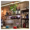 KAZUP Casier à vin réglable en hauteur, comptoir de bar en fer, support à vin suspendu, armoire murale à lenvers, armoire à 