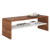 IDIMEX Table Basse Noelle, Table de Salon rectangulaire ou Meuble TV de 120 cm avec 1 étagère Espace de Rangement Ouvert, en 