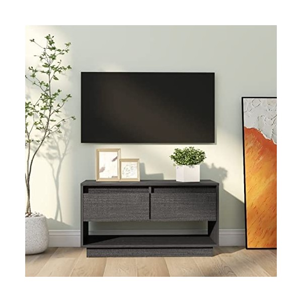 Camerina Meuble TV Gris 74x34x40 cm Bois de pin Massif,Meuble TV,Meuble TV Moderne,Meuble de Salon