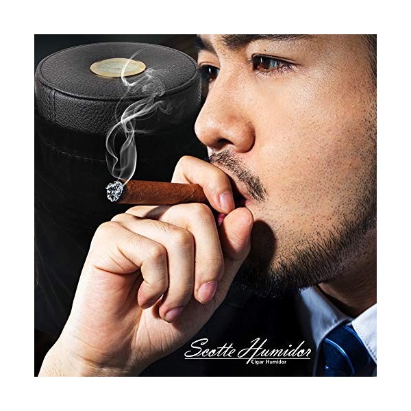 Pot de cave à cigares Scotte, étui à cigares portable en bois de cèdre en cuir