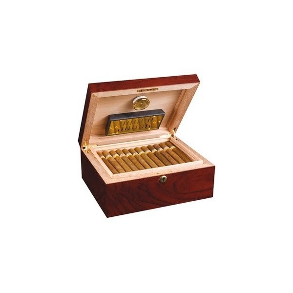 adorini Trieste Humidor - Deluxe, jusquà 75 cigares, en Bois de Rose et de Bois de cèdre Espagnol, avec Serrure et hygromètr
