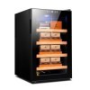 Armoire À Cigares Électrique 50L Refroidisseur De Cave À Cigares Électrique Armoire À Vin Rouge, Réfrigérateur À Thé Peut Con