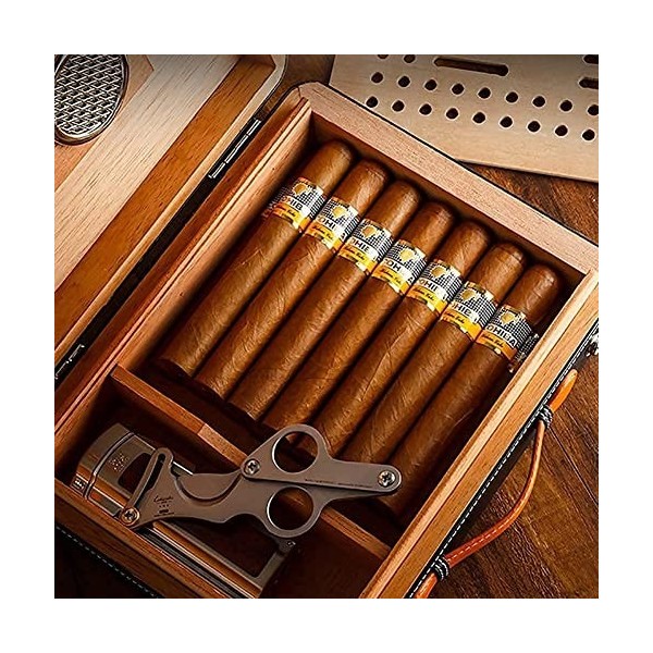Boîtes À Cigares, Boîte À Cigares de Luxe sans Peinture, Cave À Cigares en Cèdre Pur Écologique, Armoire À Cigares de Capacit