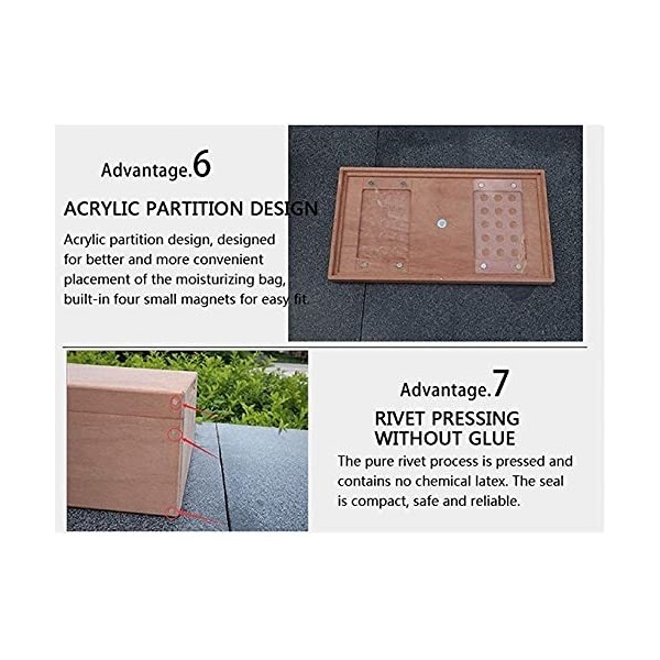 Boîtes À Cigares, Caves À Cigares, Accessoires pour Cigares Boîte À Cigares en Cèdre sans Peinture Armoire À Cigares Boîte À 